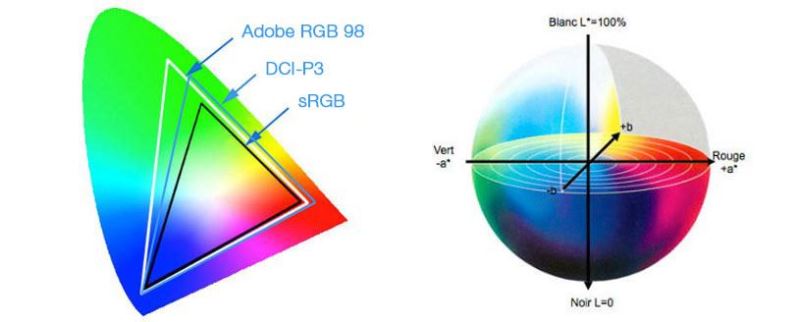 Màn hình tốt nhất cho đồ họa nên đạt chuẩn sRGB, Adobe RGB hay DCI P3 1